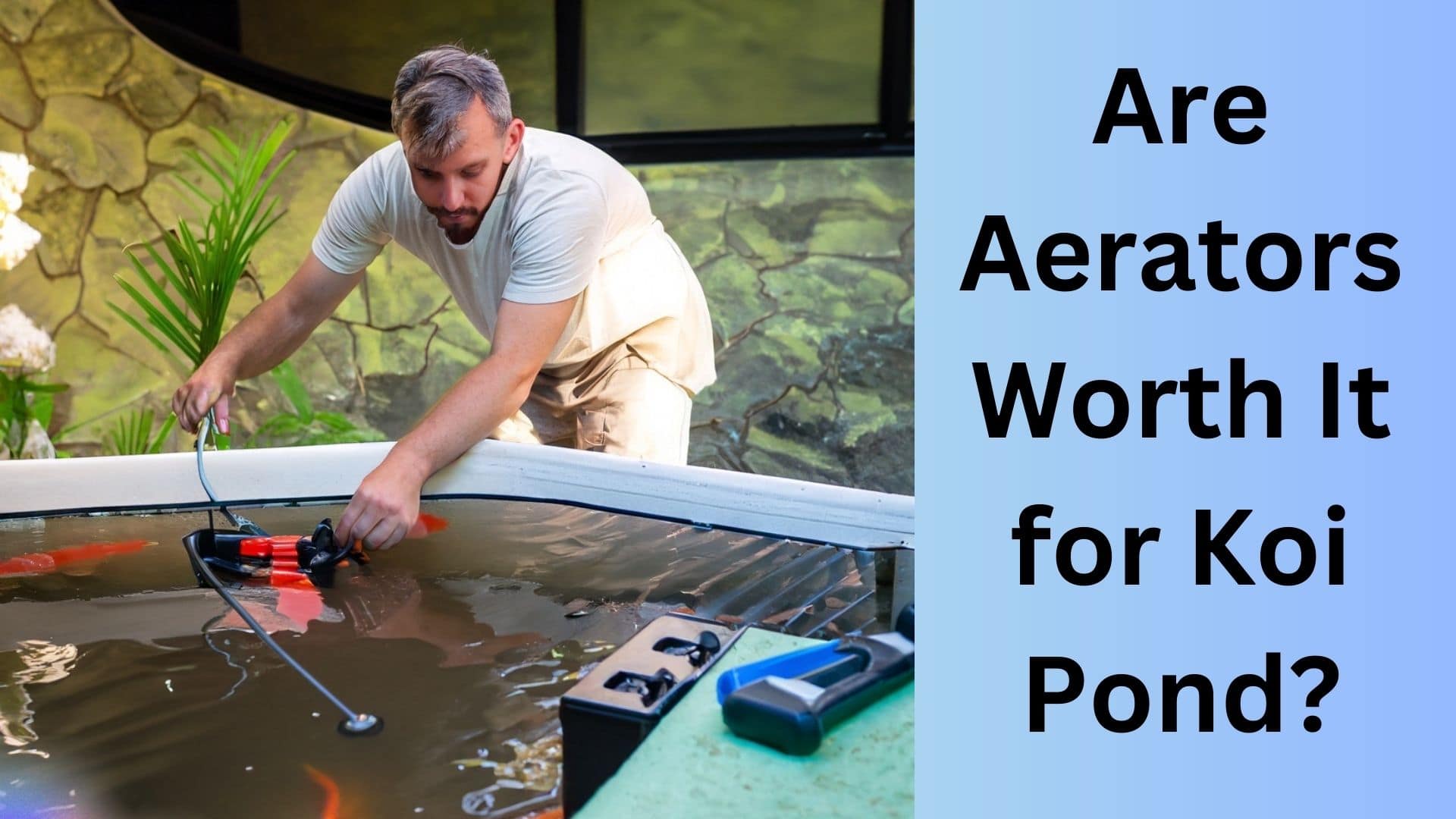 Are Aerators Worth It for Koi Pond Experts Reveal the Truth Koi Seller