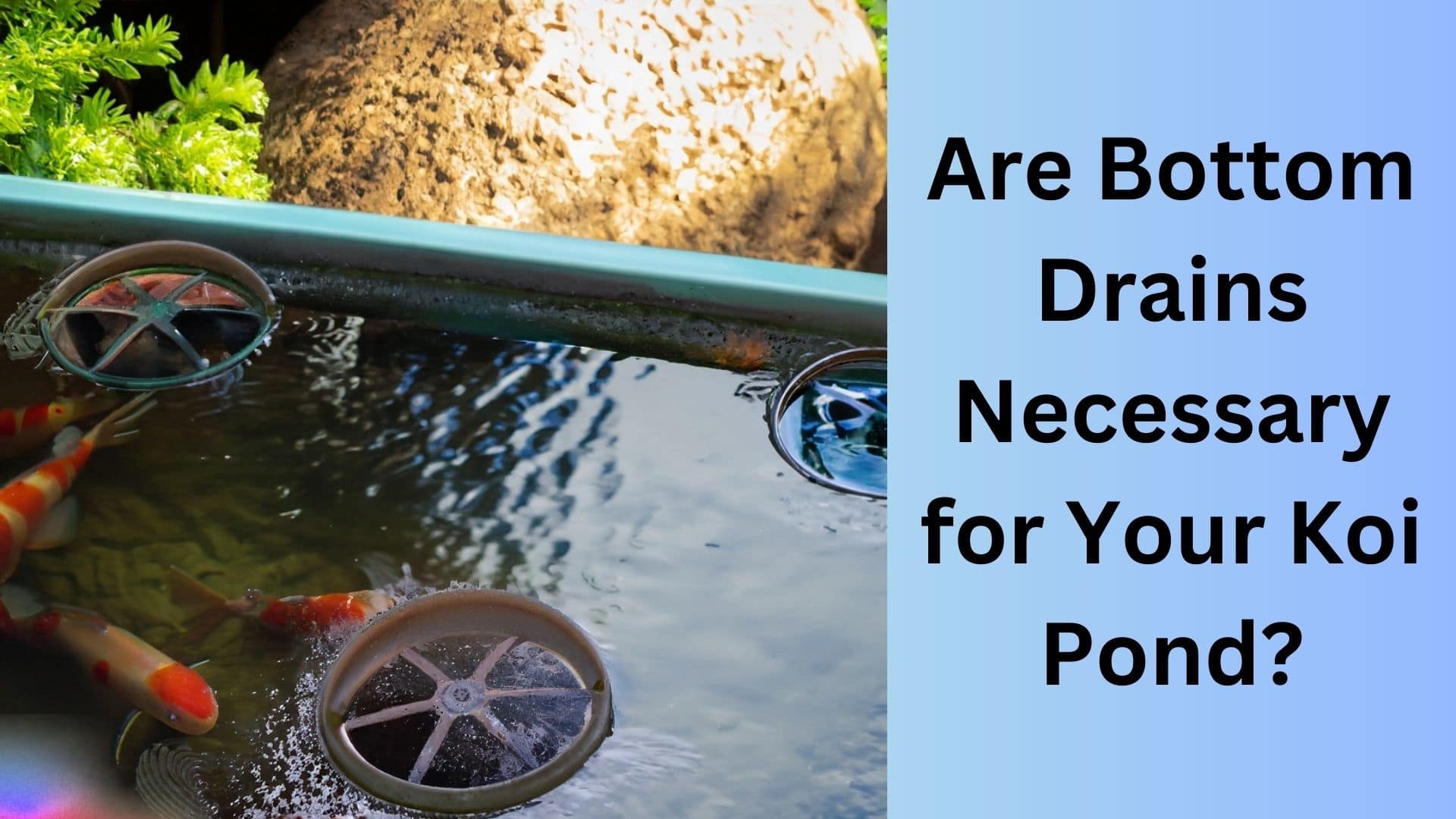 Are Bottom Drains Necessary for Your Koi Pond? Koi Seller