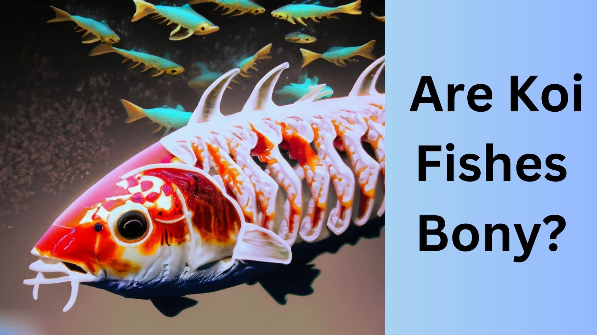 Are Koi Fishes Bony? Learn the Truth Behind Their Skeletal System