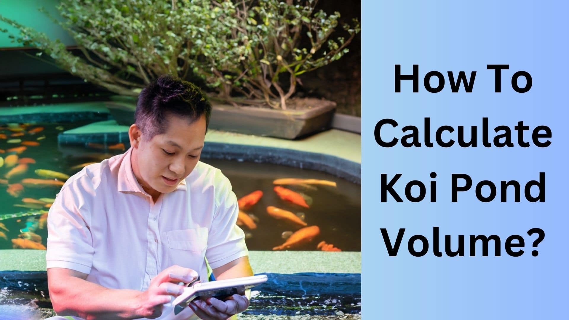 How To Calculate Koi Pond Volume Koi Seller