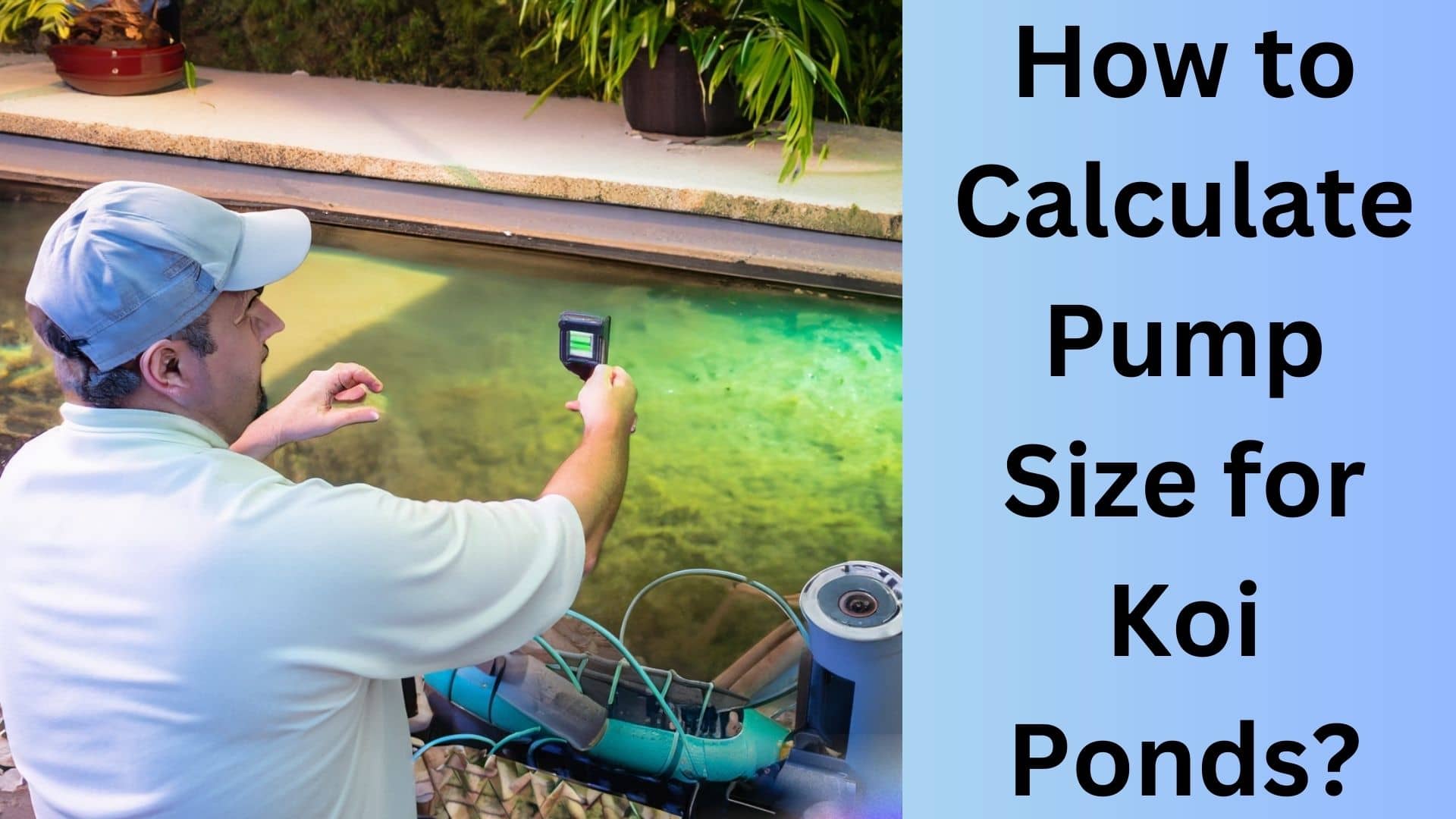How to Calculate Pump Size for Koi Ponds? Koi Seller