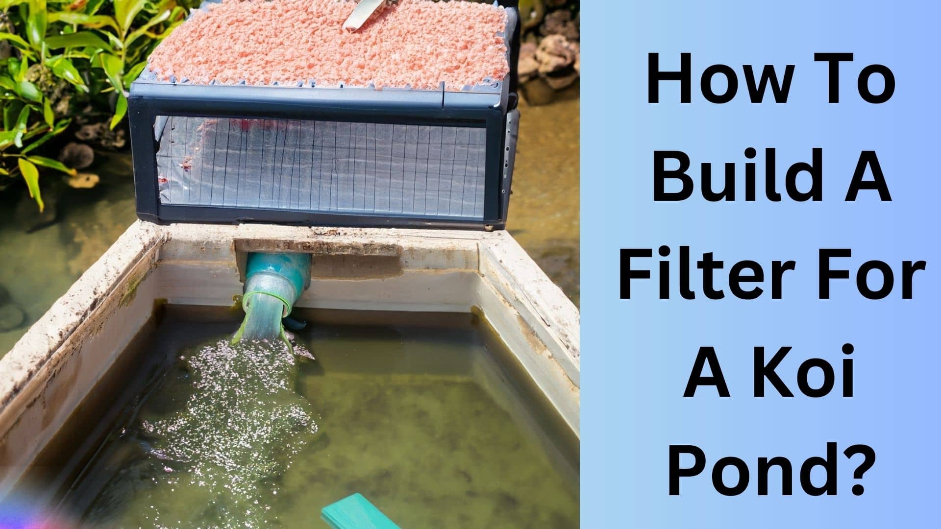 How To Build A Filter For A Koi Pond? Koi Seller