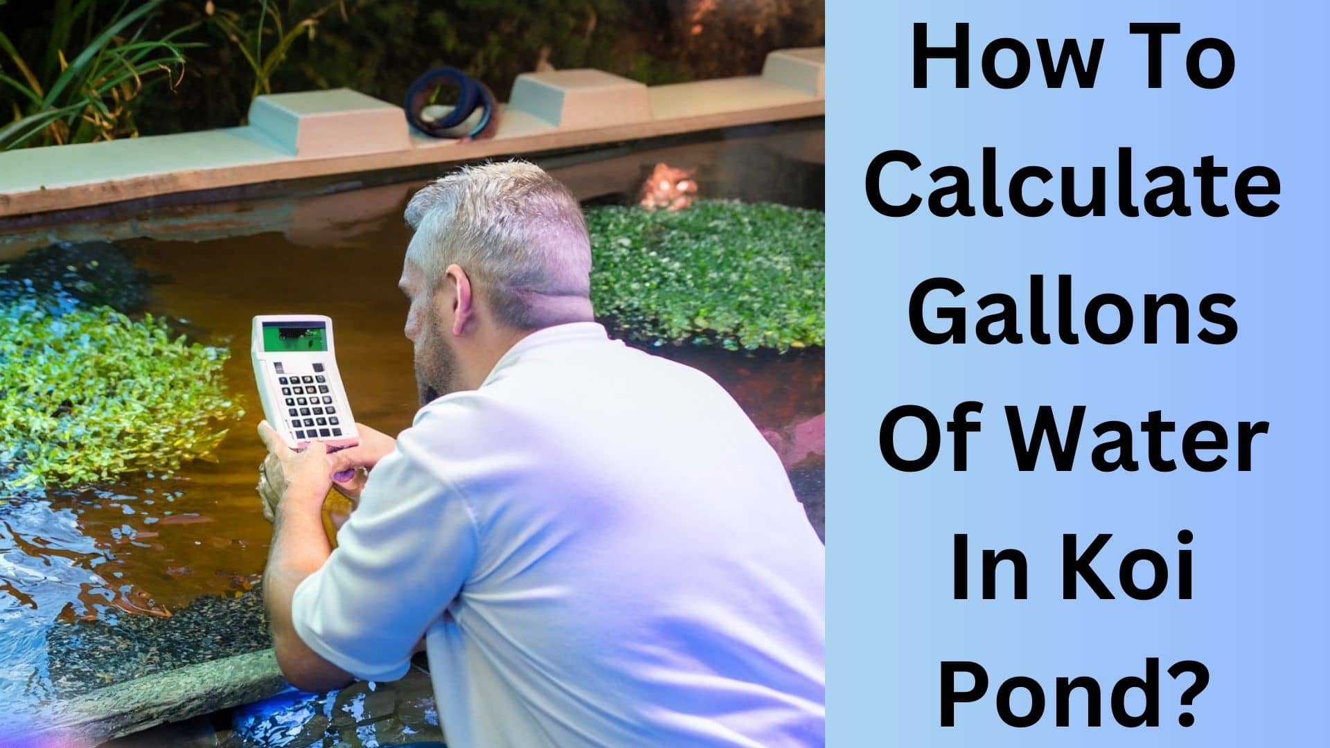 How To Calculate Gallons Of Water In Koi Pond 