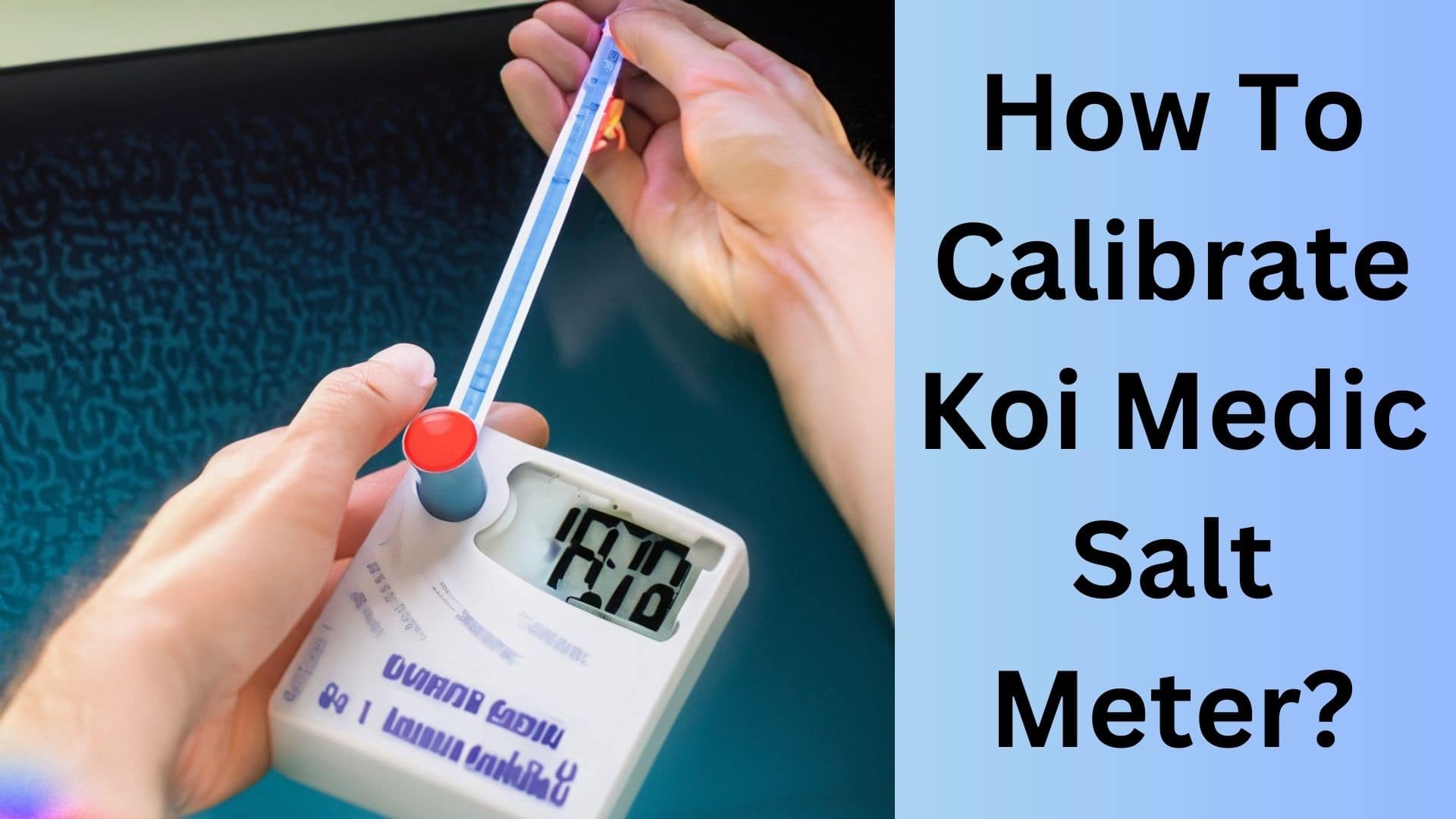 How To Calibrate Koi Medic Salt Meter? Koi Seller